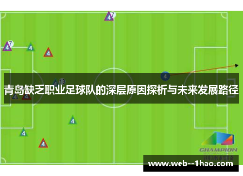 青岛缺乏职业足球队的深层原因探析与未来发展路径 青岛缺乏职业足球队的深层原因探析与未来发展路径