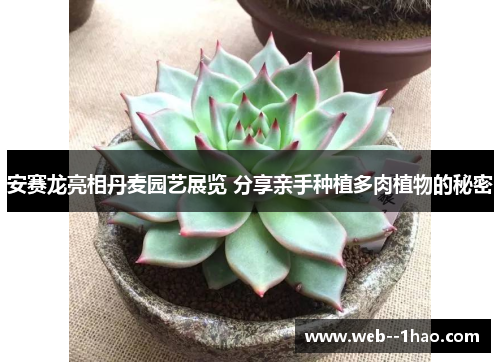 安赛龙亮相丹麦园艺展览 分享亲手种植多肉植物的秘密