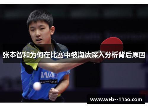 张本智和为何在比赛中被淘汰深入分析背后原因