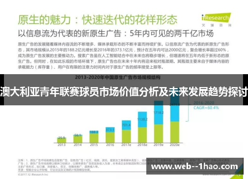 澳大利亚青年联赛球员市场价值分析及未来发展趋势探讨