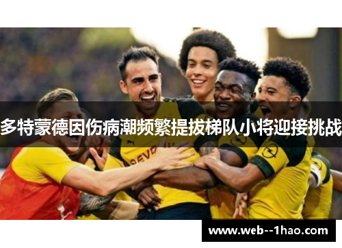 多特蒙德因伤病潮频繁提拔梯队小将迎接挑战